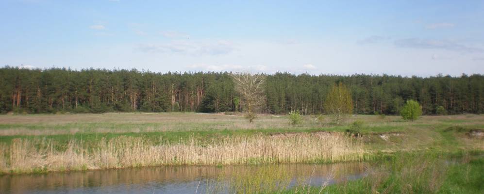 Фотография Феневичей