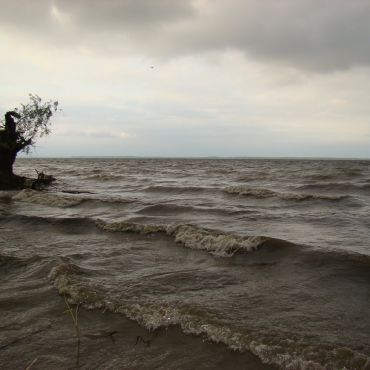 Ближнемельничный