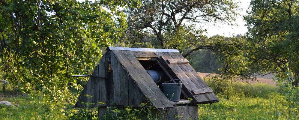 
            Фотография Мятина