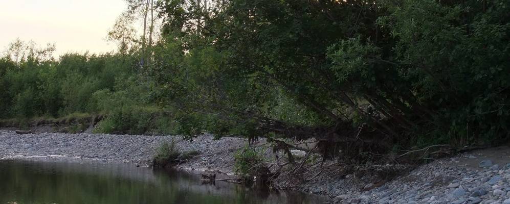 
            Фотография Армани