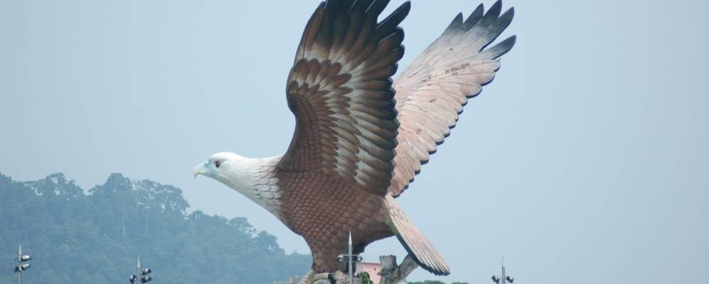 
            Фотография Куы