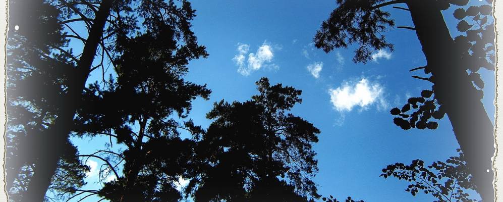 
            Фотография Саломатово