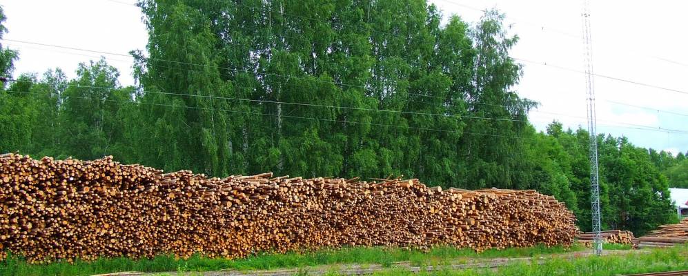 
            Фотография Мянтюхарью