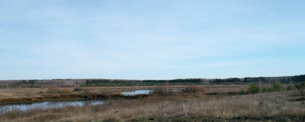 
            Фотография Нового Чардыма