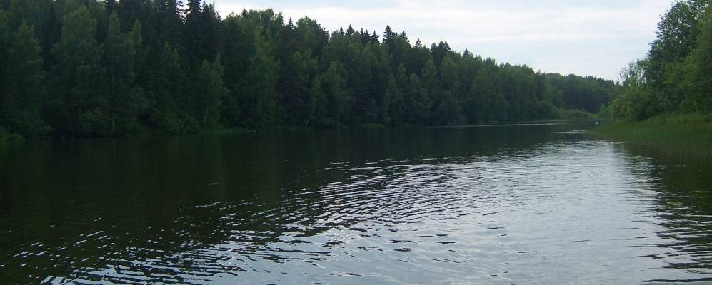 
            Фотография Патракейки