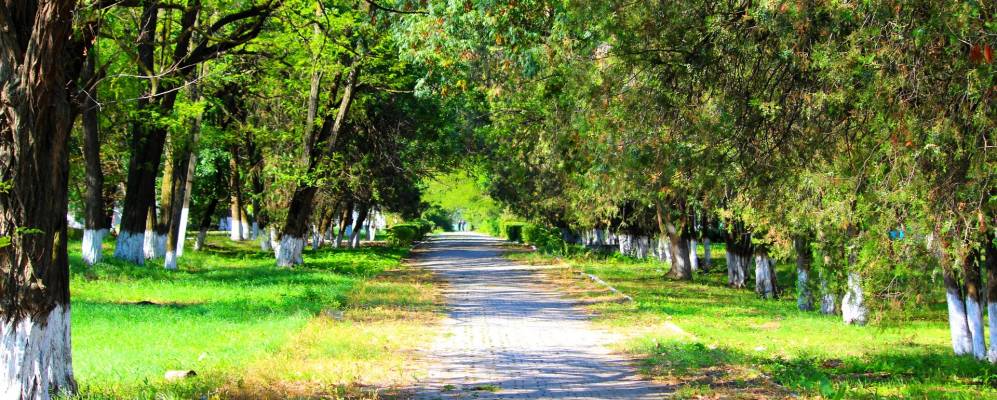 
            Фотография Ильинской