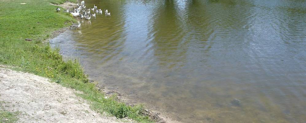 
            Фотография Привокзального