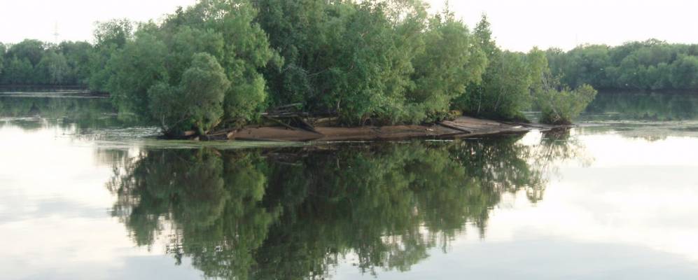 
            Фотография Цигломеня