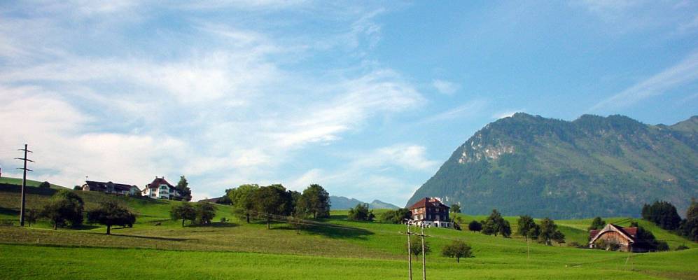 
            Фотография Буохса