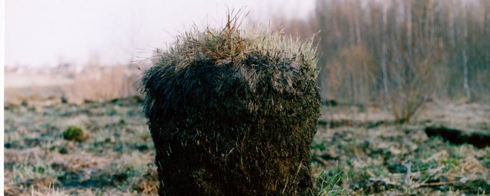 
            Фотография Клевцово