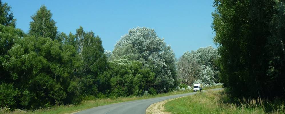 Фотография Высокого