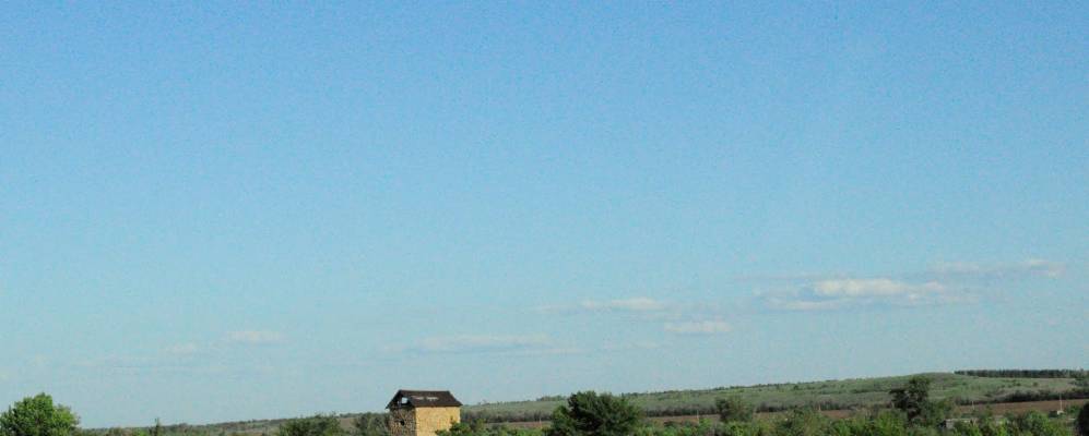 
            Фотография Ионова