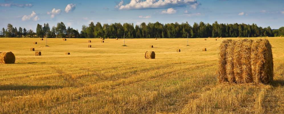 Фотография Деревни Яковлева