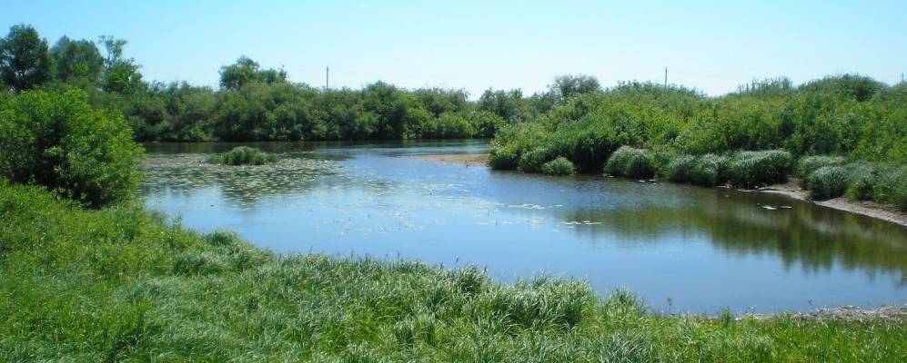 
            Фотография Лучинска