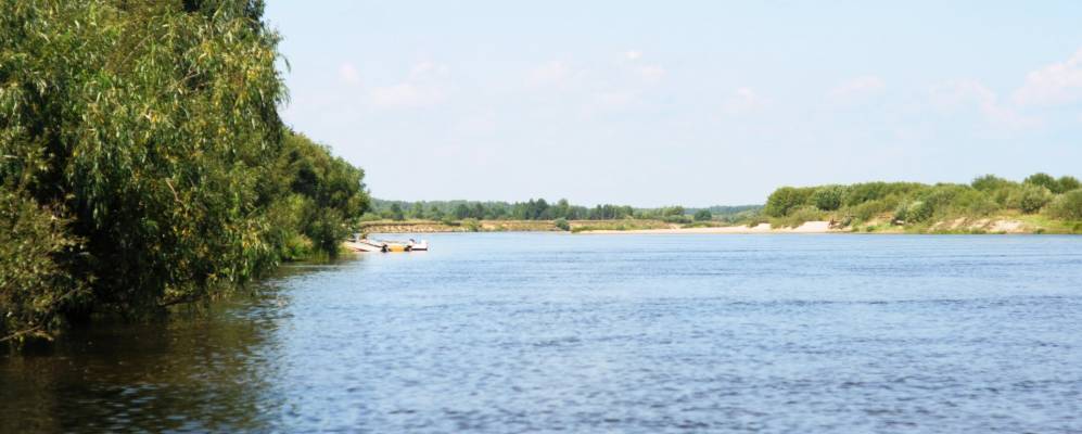 
            Фотография Руданихи