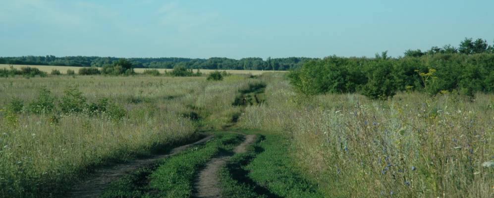 
            Фотография Кшеня