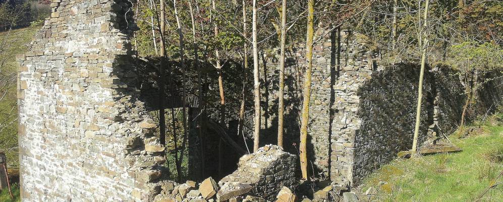 
            Фотография Крайнанта