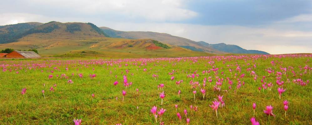 Фотография Маргау