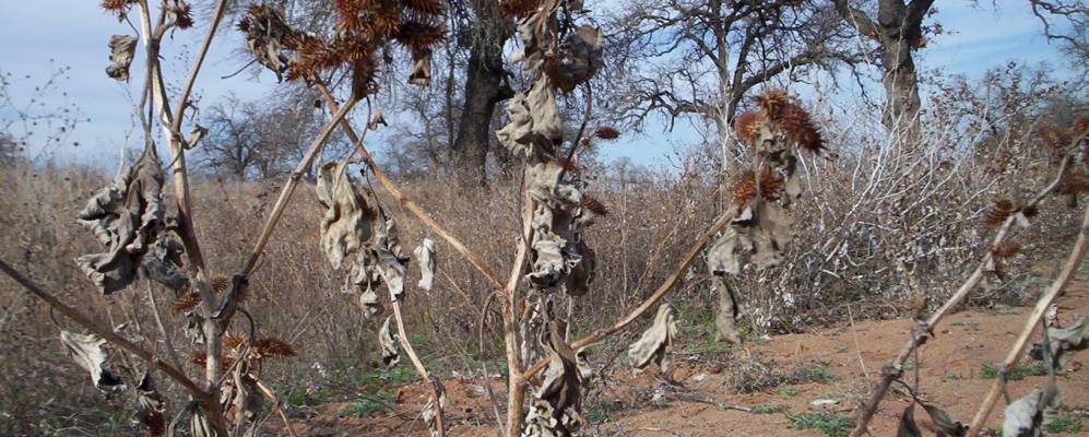 
            Фотография Мелководье Граниты