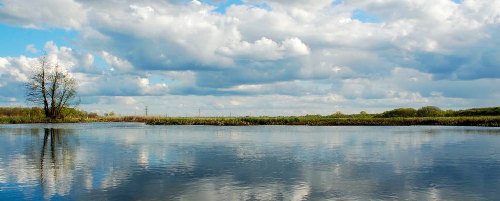 
            Фотография Пригородного