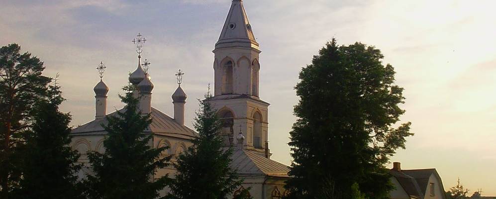 Фотография Новых Кузьмёнков