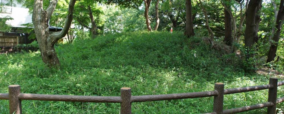 
            Фотография Абико