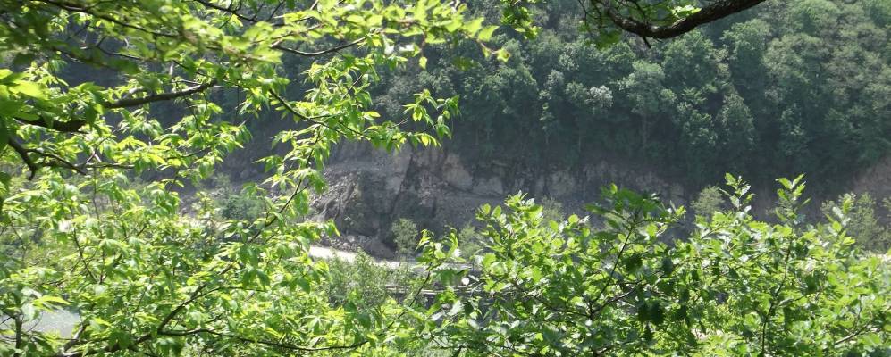 
            Фотография Заречье