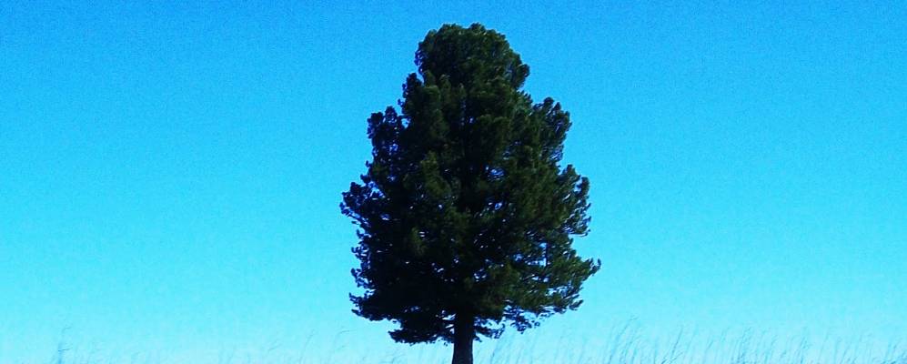 
            Фотография Урьи