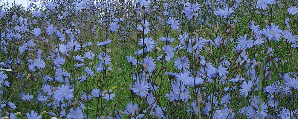 
            Фотография Берляша