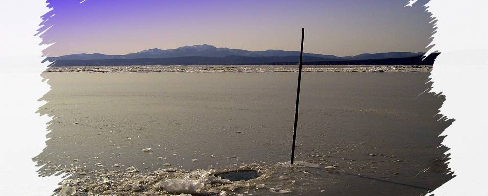 
            Фотография Оремифа