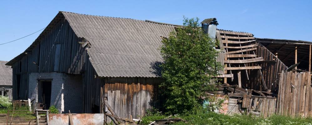 
            Фотография Бруснички