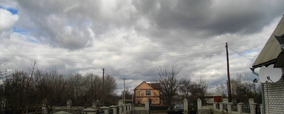 
            Фотография Ракиты