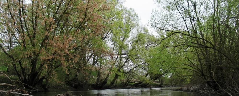 Фотография Синицкого
