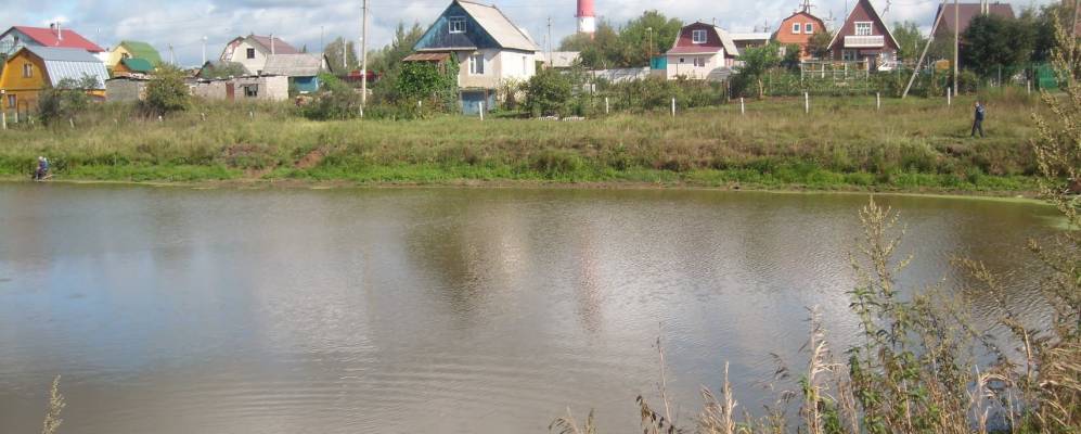 
            Фотография Березок