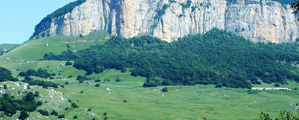 
            Фотография Подскального