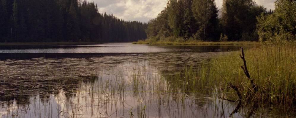 Фотография Клещино