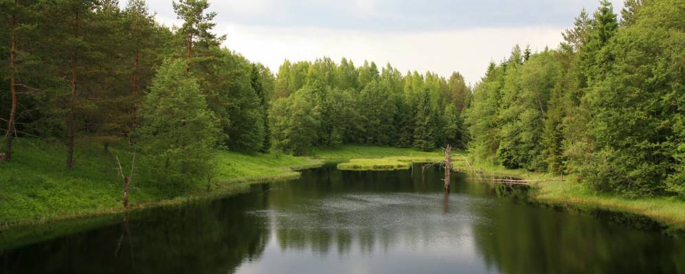 Фотография Афимцево