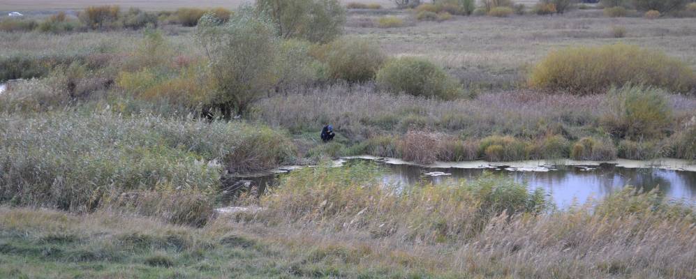 
            Фотография Подгорного
