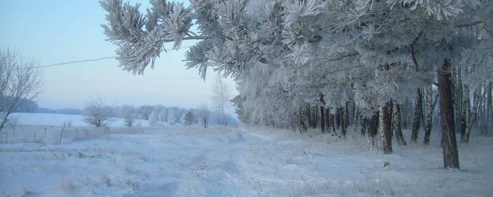 
            Фотография Лисьего