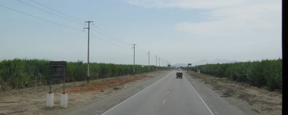 
            Фотография Чикамы