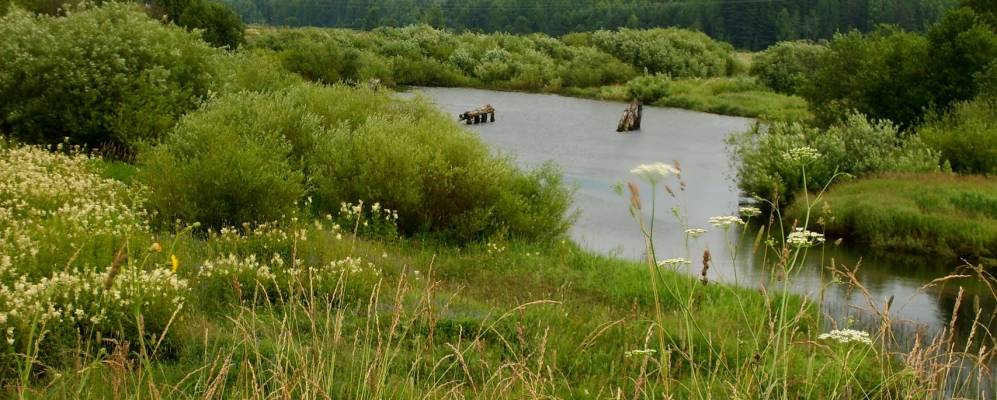 Фотография Четвериковщины