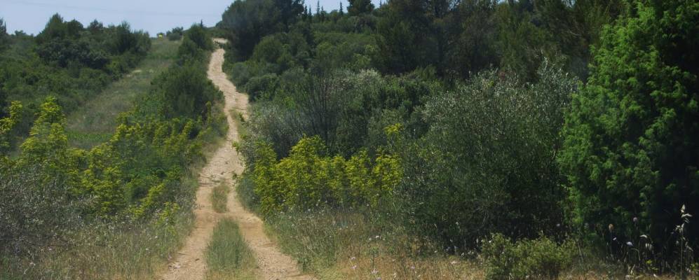 
            Фотография Бур-Арженталя