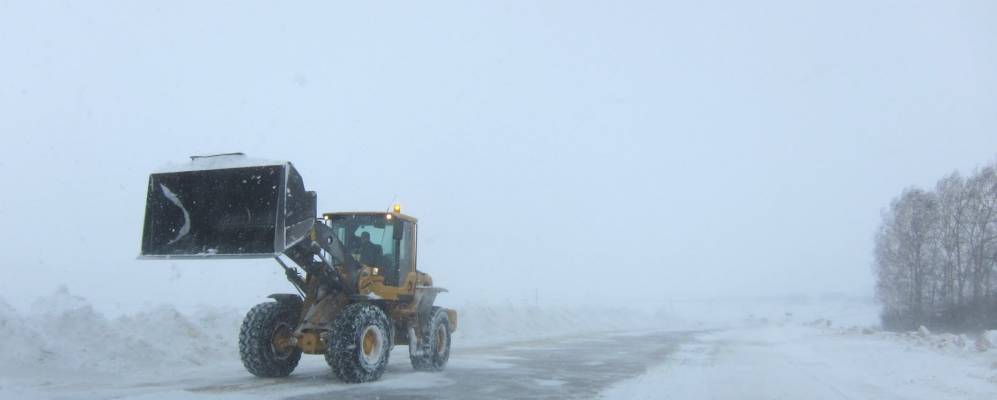 
            Фотография Пашутино