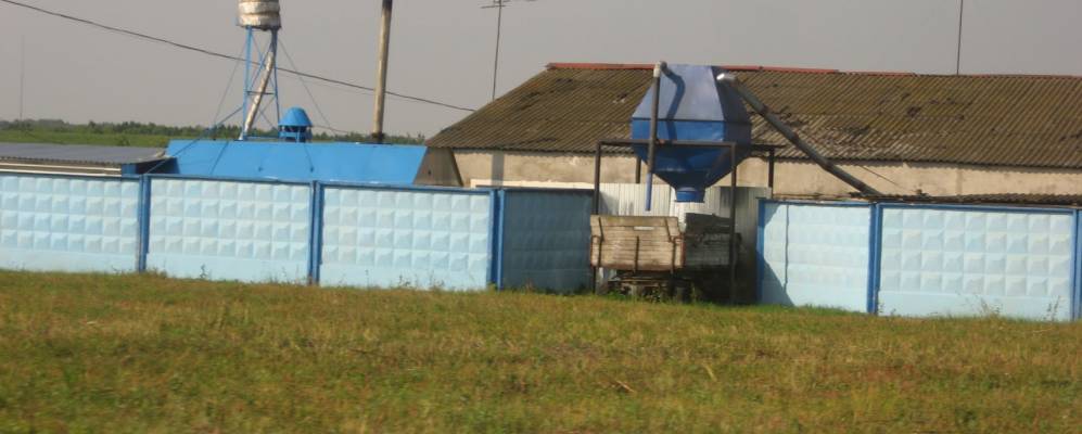 
            Фотография Дубровни