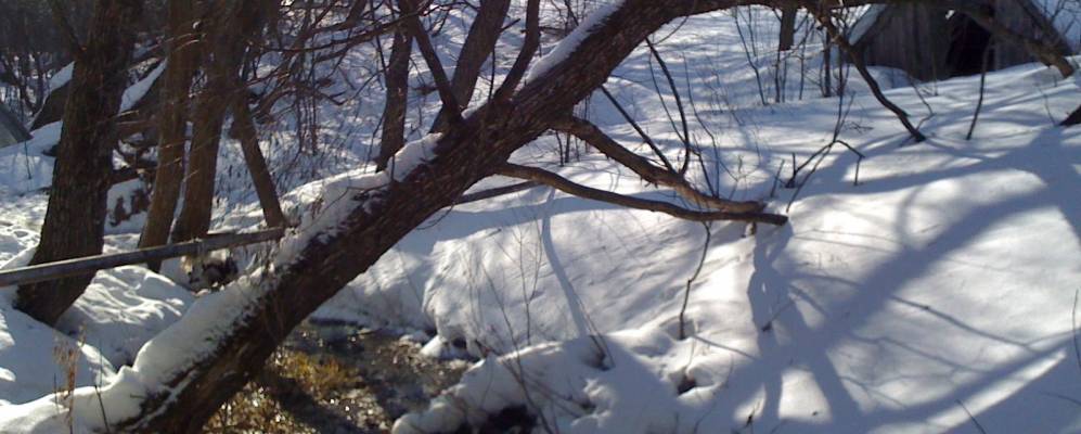 
            Фотография Перелогов