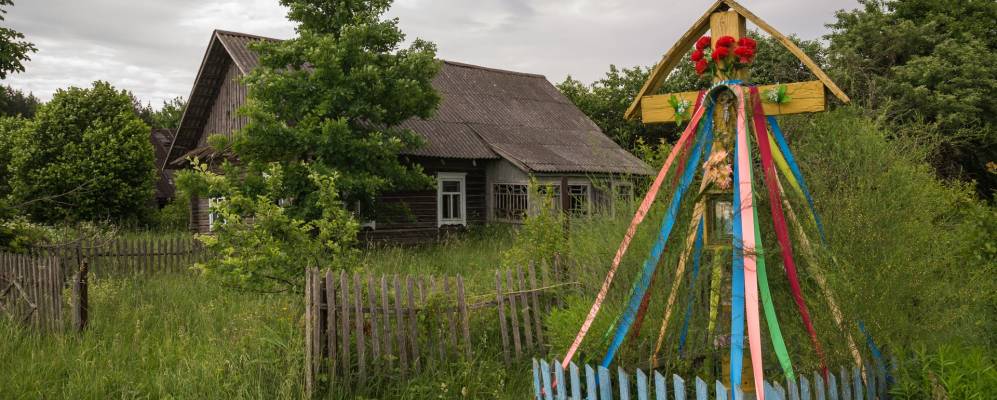 
            Фотография деревни Боровики