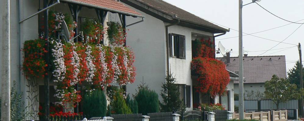 
            Фотография Джюрджеваца