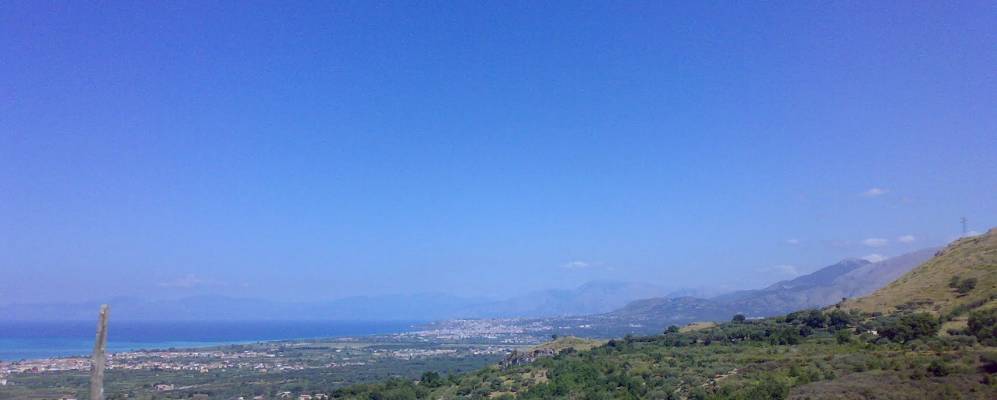 
            Фотография Гризолии