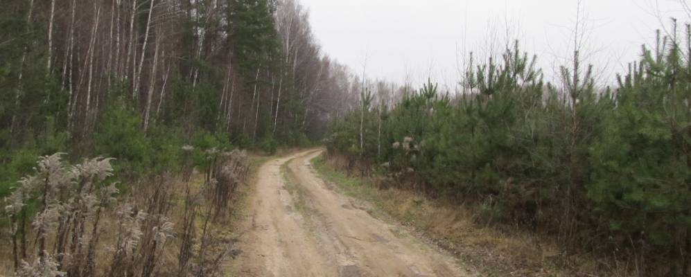 Фотография Могильцев