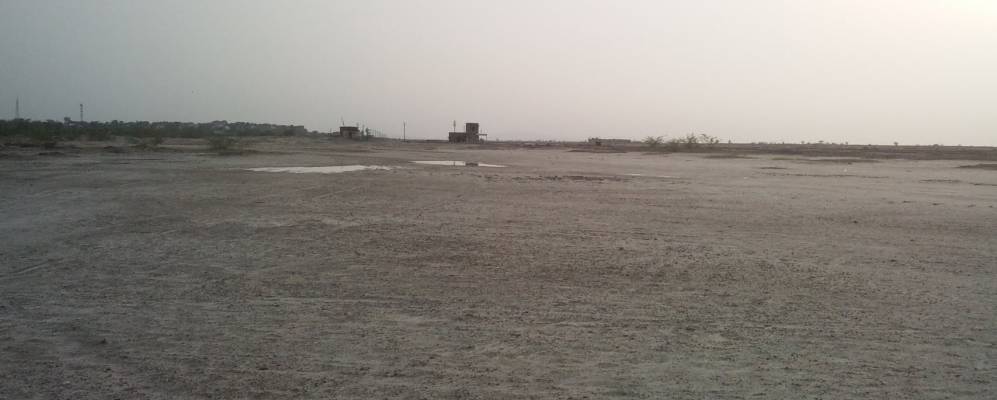 
            Фотография Самбхара